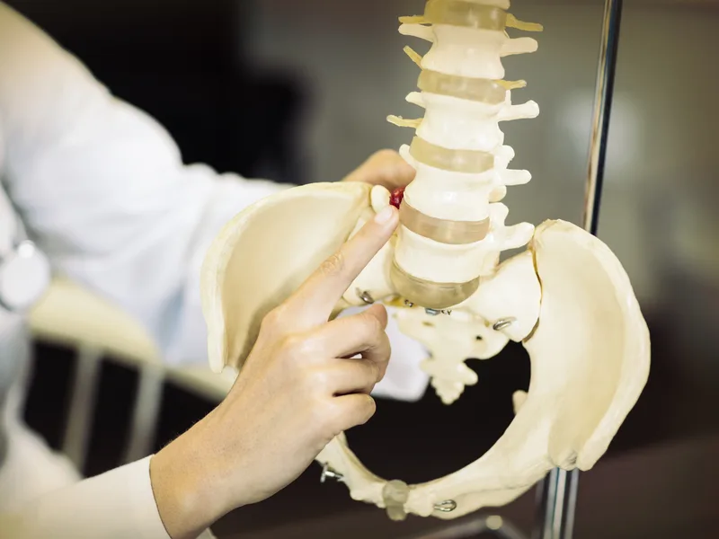 Gonstead Technique at Demo Chiropractic in Demo City